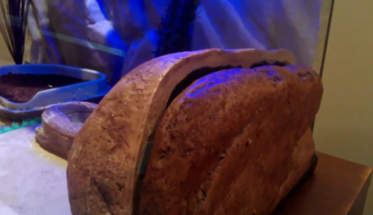 Final thoughts on the Exo Terra Reptile Den