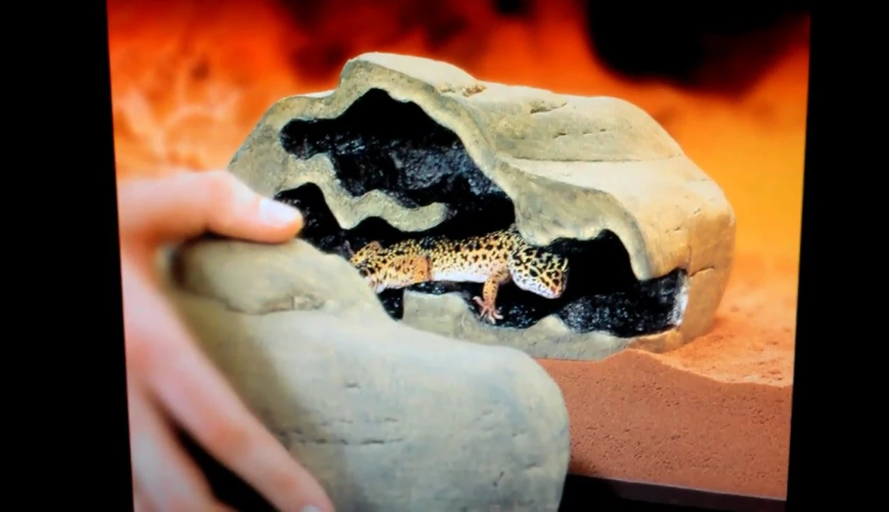 Dimensions of the large Exo Terra Reptile Den
