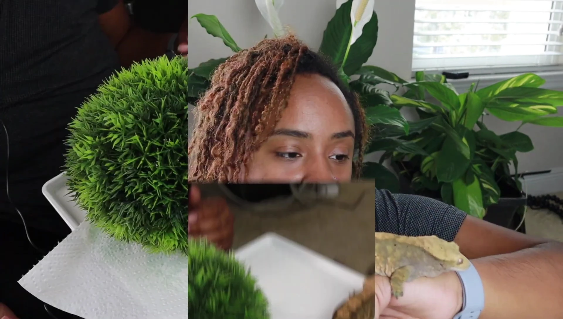 Close-up of the plastic-based moss ball selected for the project.