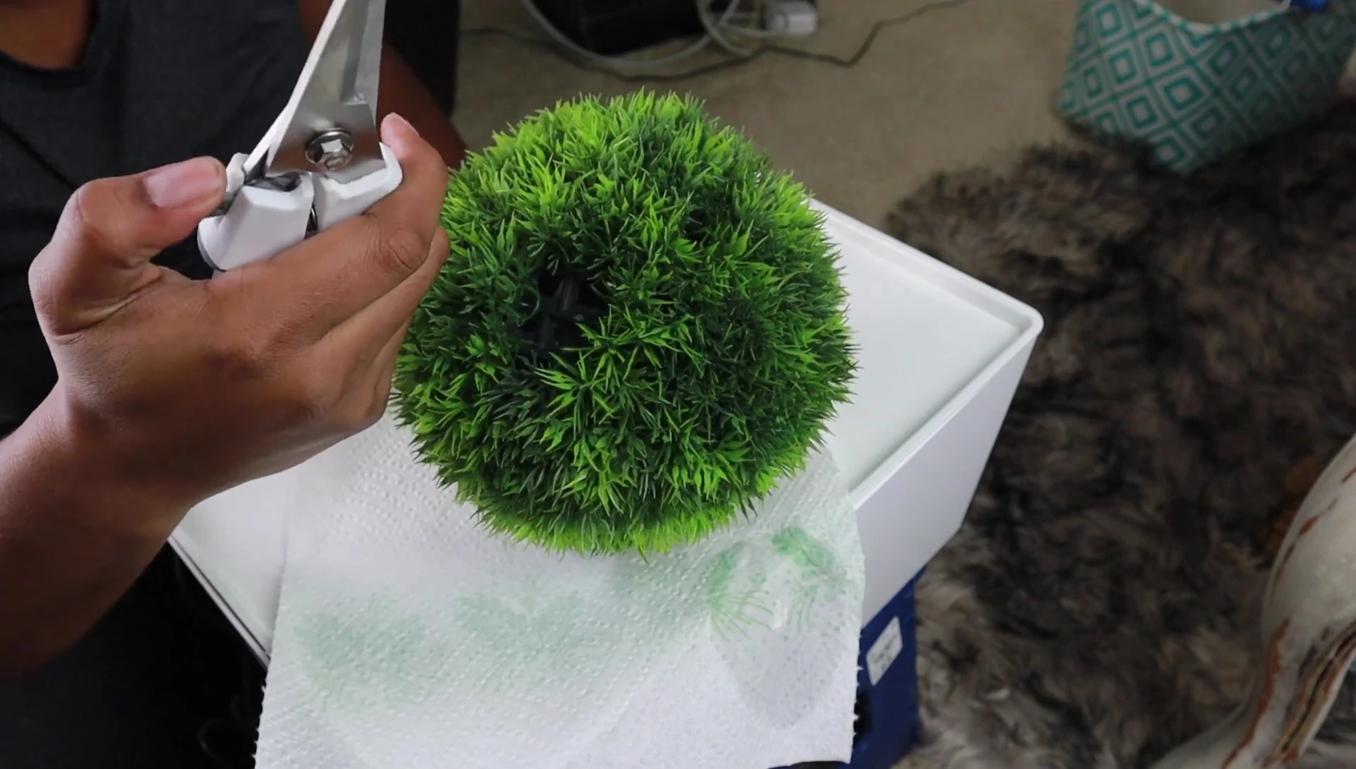 The speaker displays the cutter used to create the opening in the moss ball.