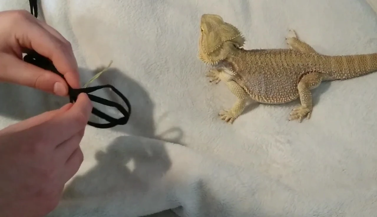 Attaching the bread tie