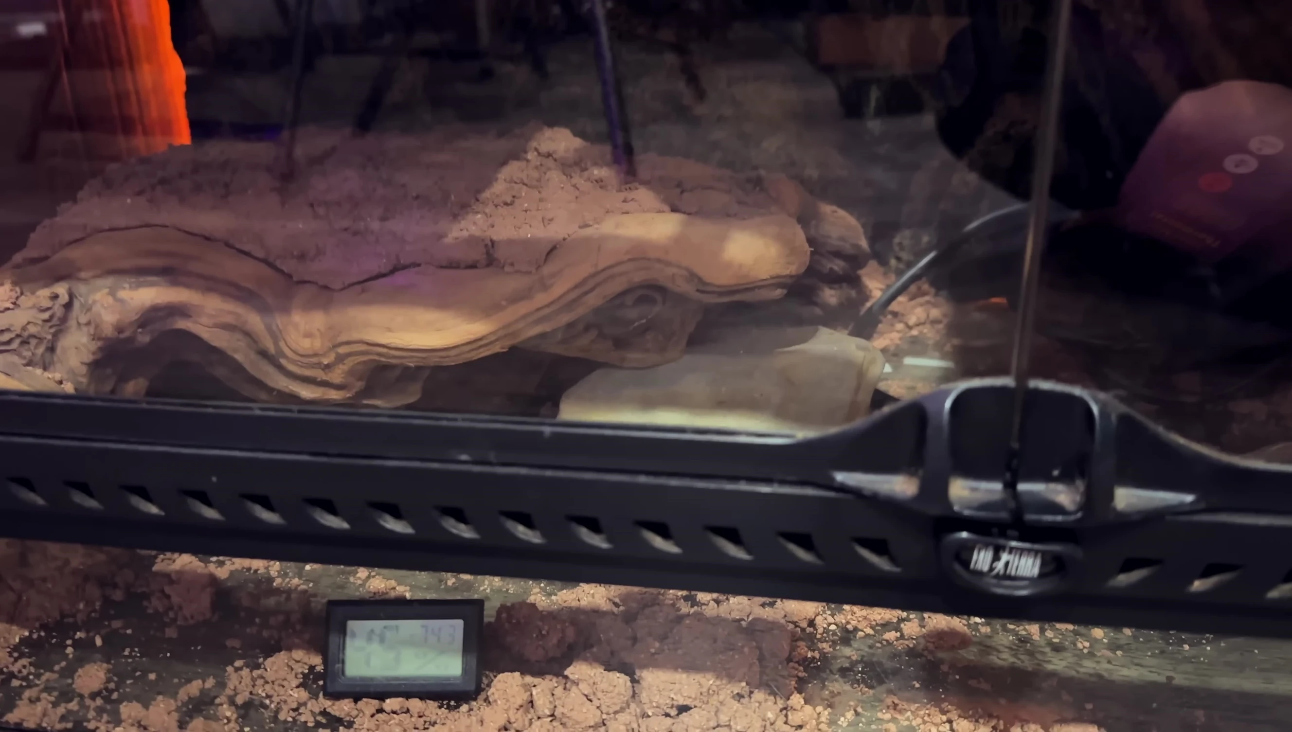 The mini-dehumidifier set up in a terrarium.