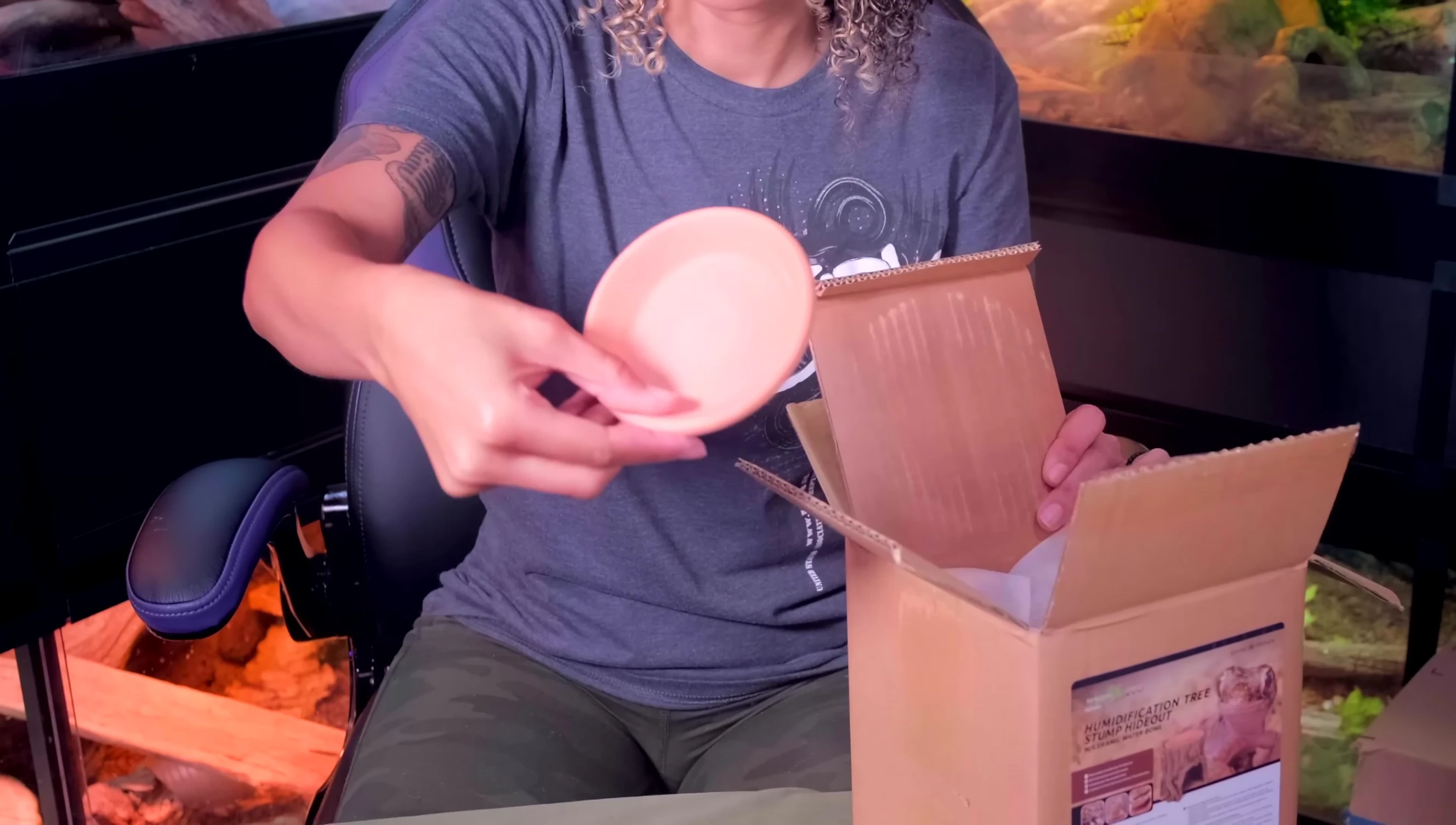 The humid hide unboxed and displayed.