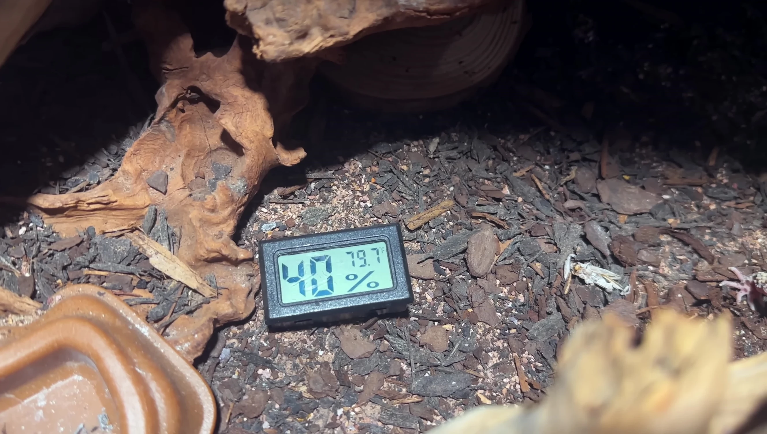 Humidity reading inside the terrarium with the humid hide.