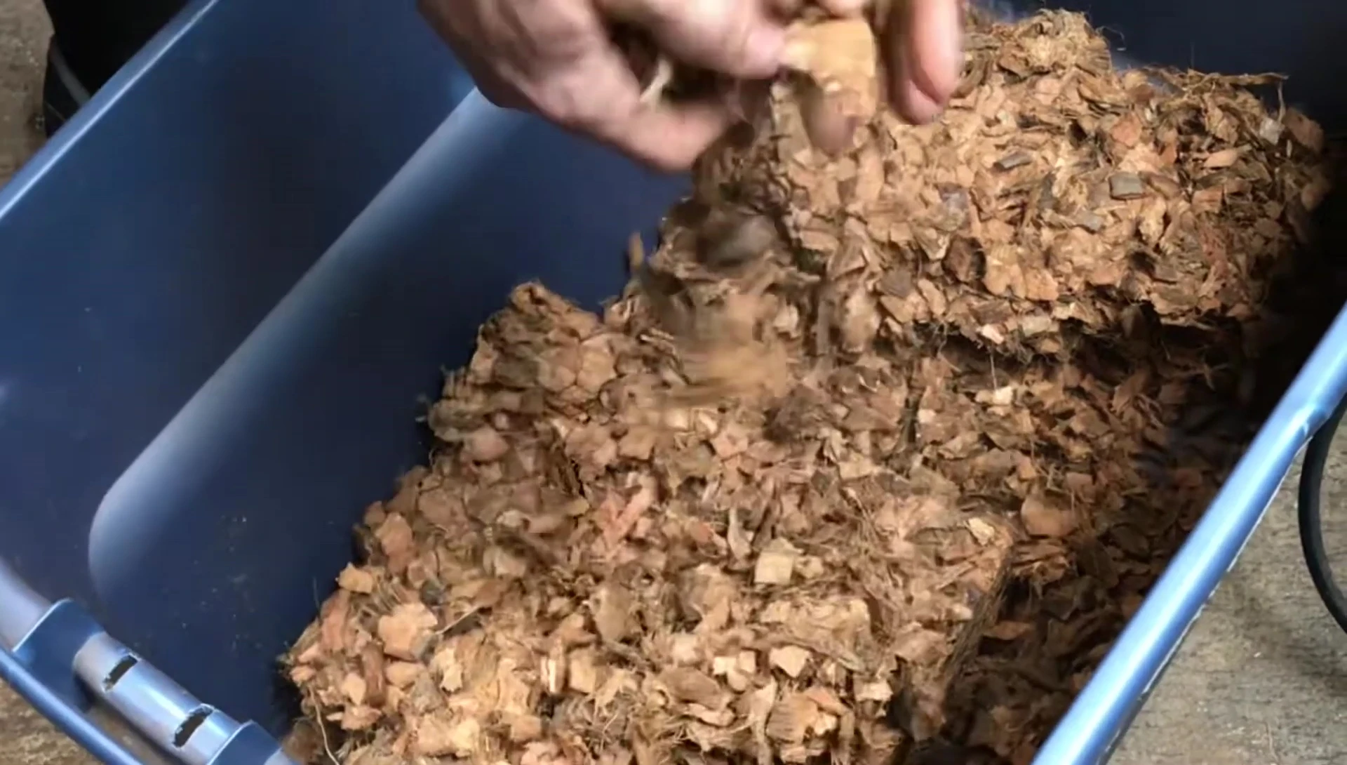 Coco husk bedding settled in a reptile enclosure after misting.
