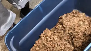 Coco Husk Reptile Bedding Review: Freedom Breeder's Compressed Coco Chips