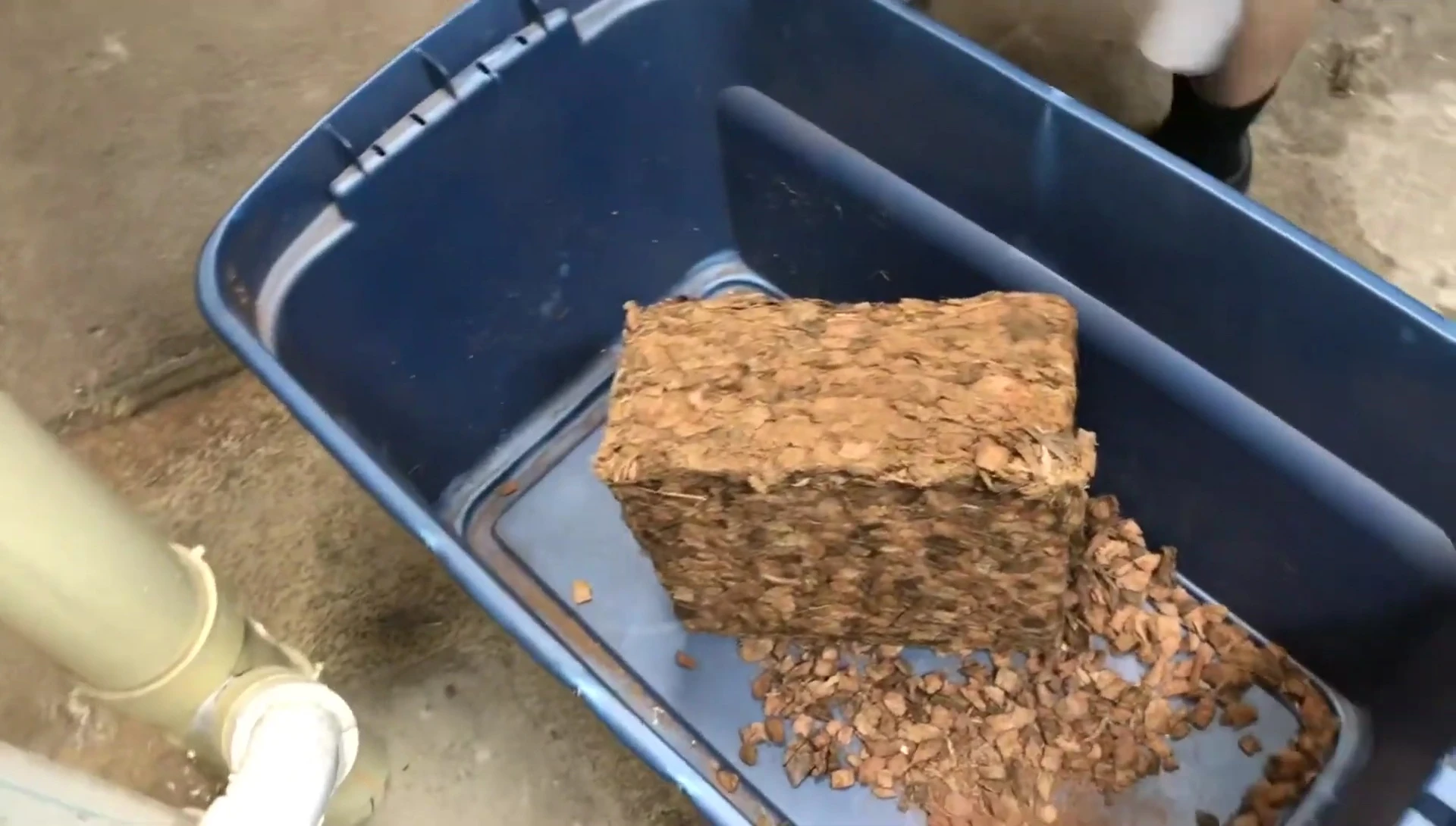 The compressed 10-pound brick of coco husk bedding.