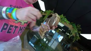 Review: 5 Weirdest Reptile Products from Amazon - Are They Worth It?