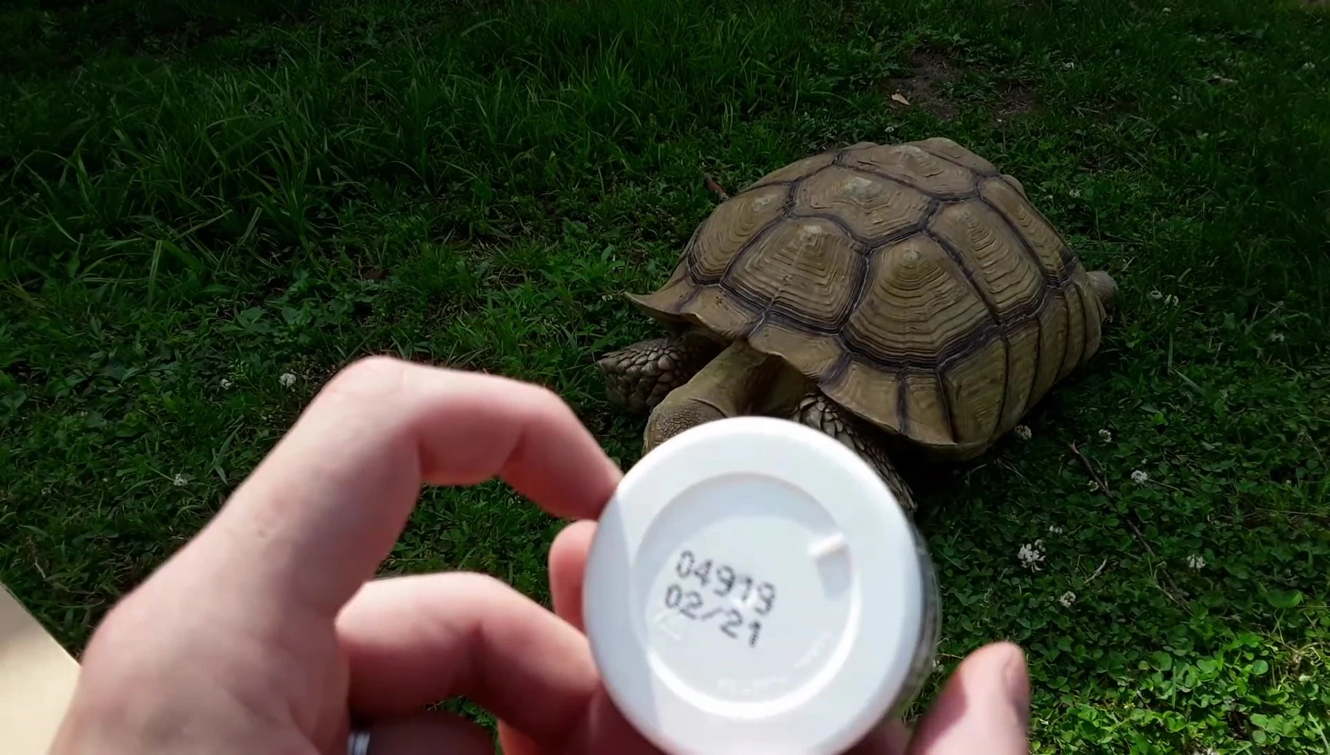 The calcium supplement container showing price and size.