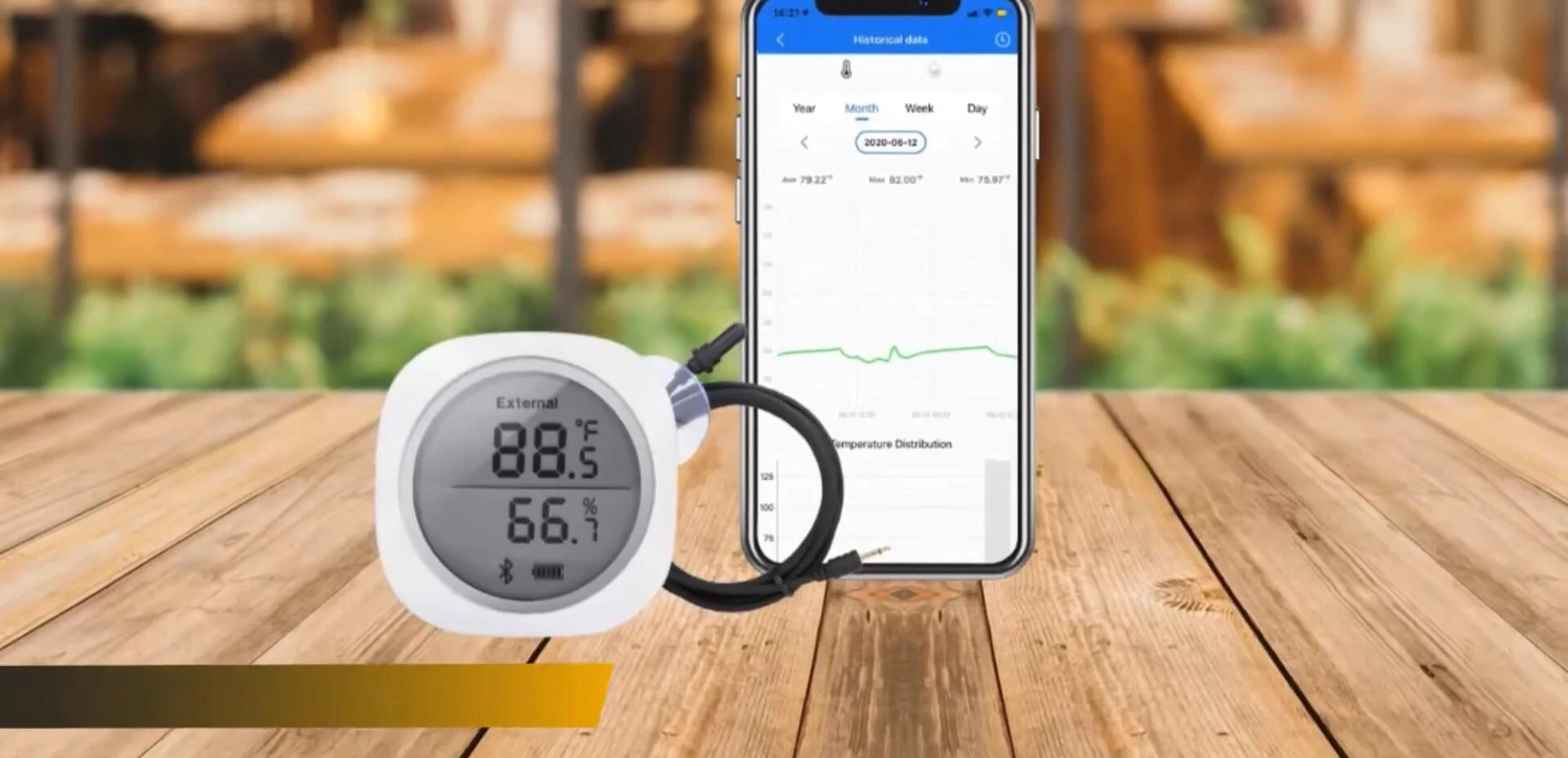 Inkbird Wireless Thermometer Smart Sensor