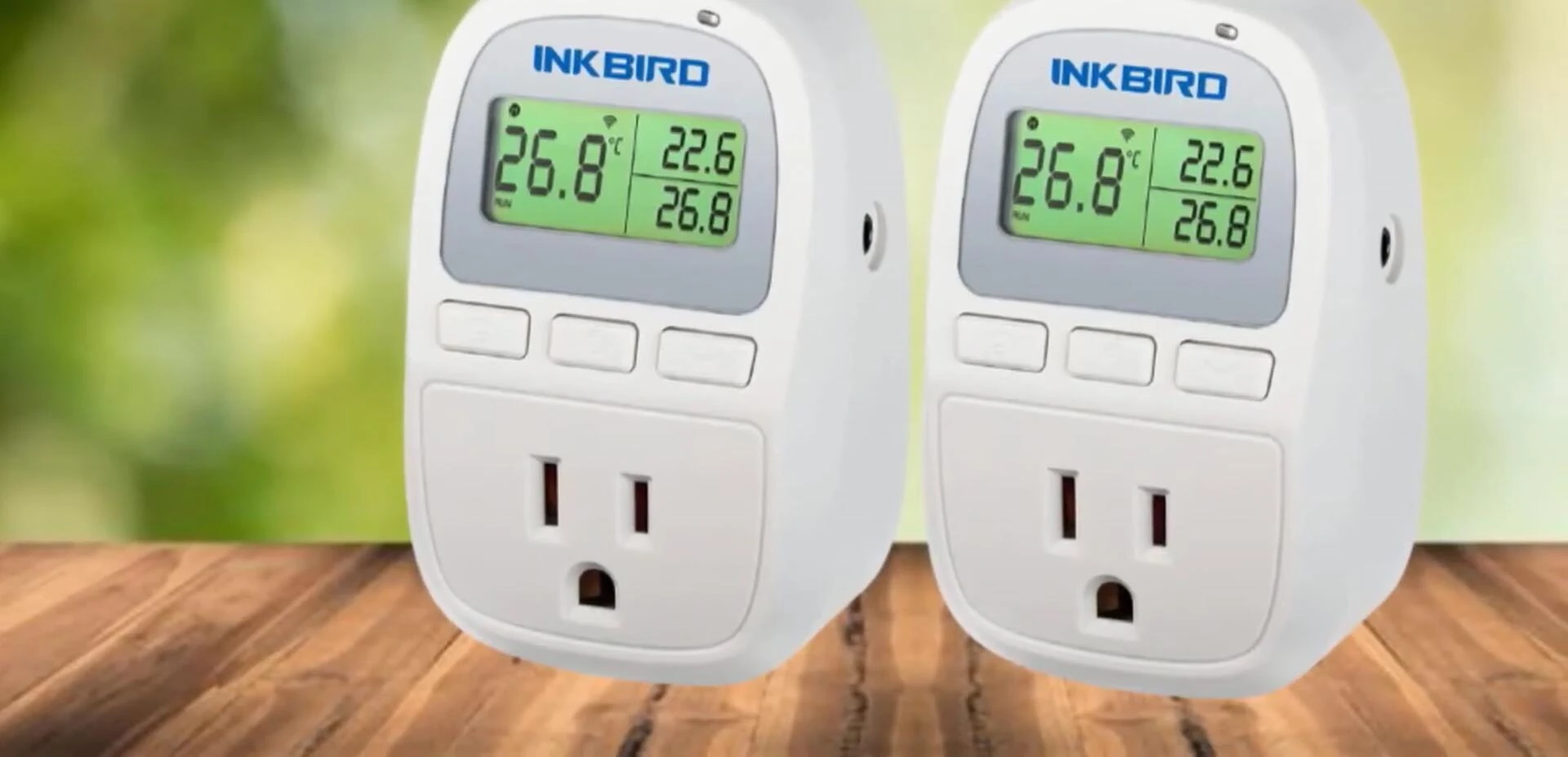 Highlighting the dual probes of the Inkbird thermometer
