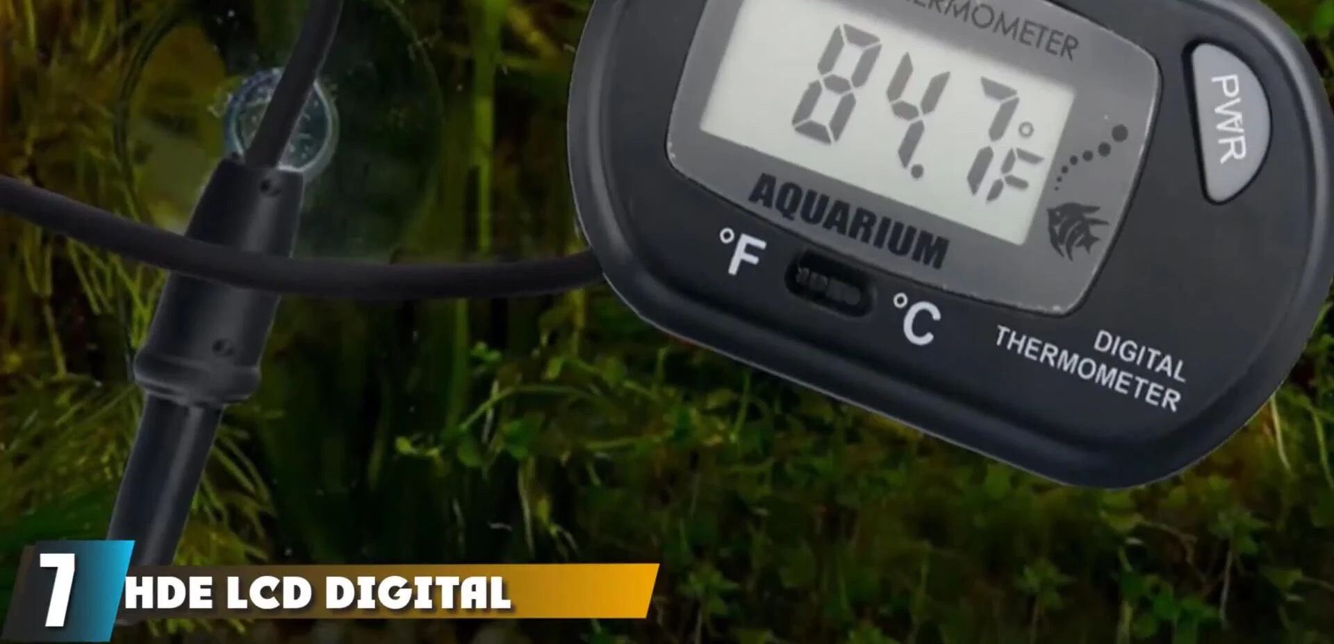 HD LCD Digital Aquarium Thermometer