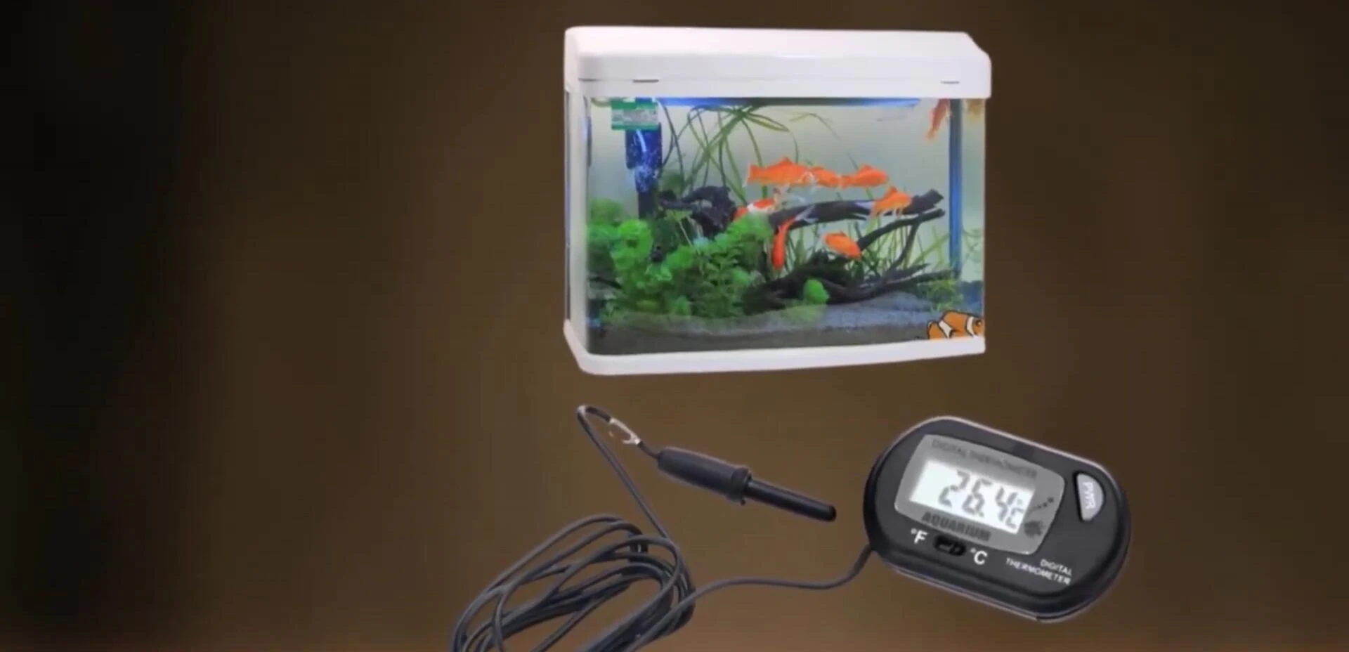 The HD LCD Digital Aquarium Thermometer's LCD screen and probe