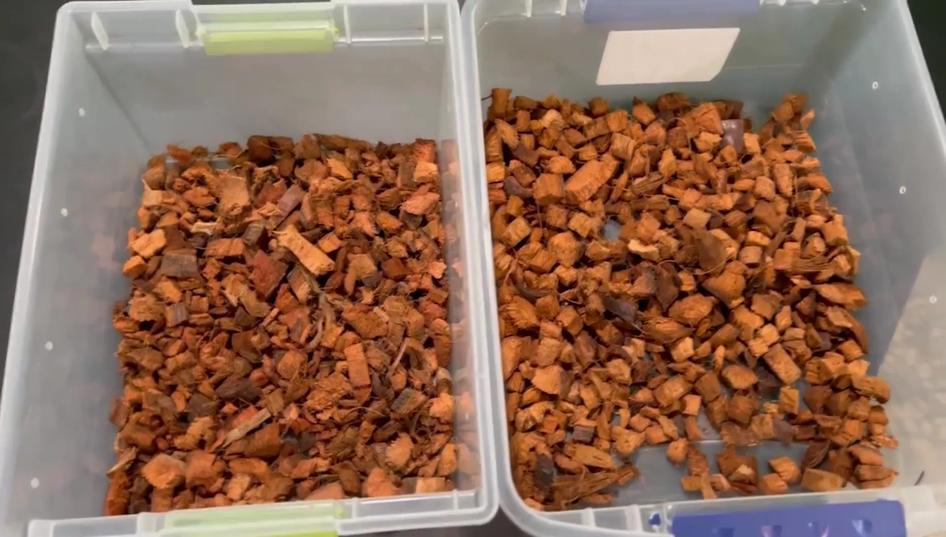 Close-up comparison of CoCo2Go and Freedom Breeder Coco Blocks in separate bins.