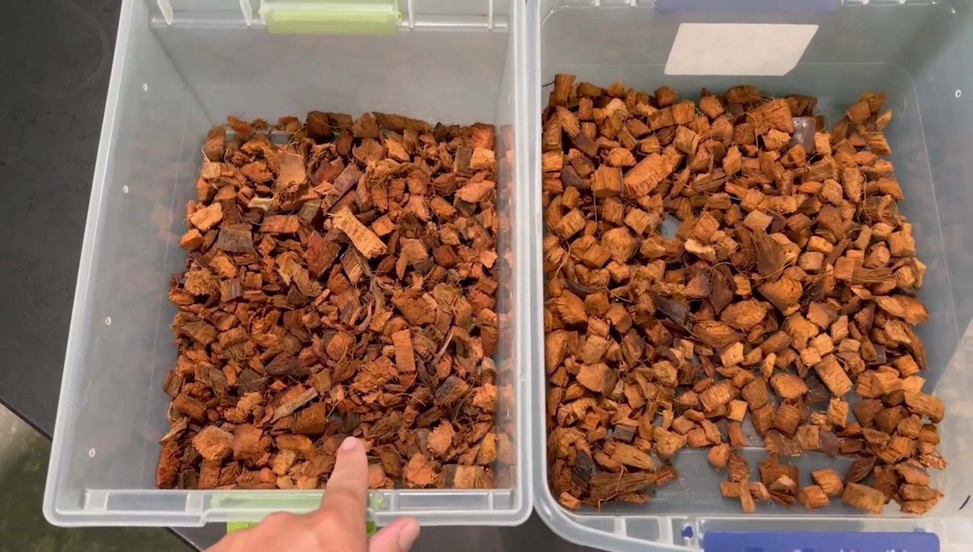 A closer look at the texture and consistency of CoCo2Go.