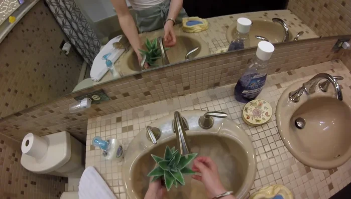 Rinse washable decorations (water bowl, cactus ornament).