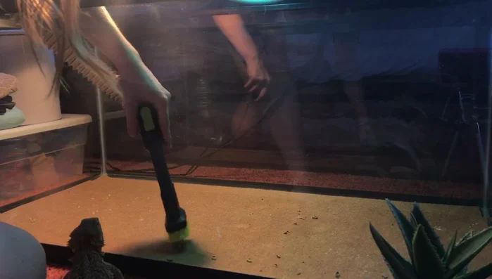 Remove the carpet and vacuum underneath.