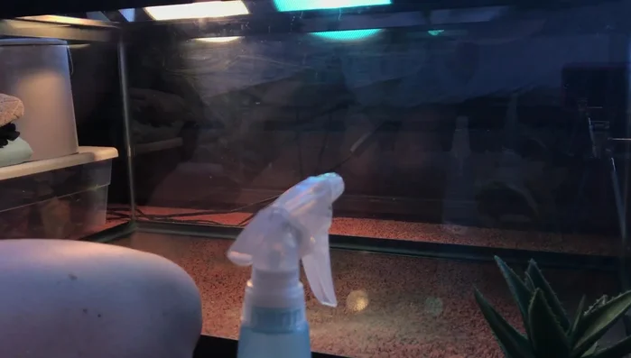 Use a fan to air out the tank and remove the vinegar smell.