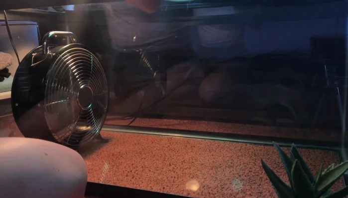 Use a fan to air out the tank and remove the vinegar smell.