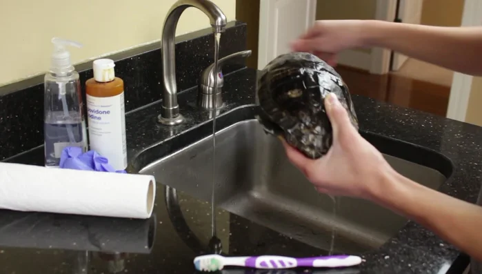 Dry the affected area of the shell with paper towels, ensuring no standing water remains.