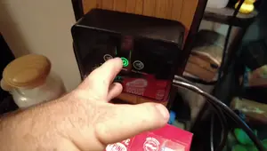DIY Reptile Misting System: Budget-Friendly & Effective Humidity Control