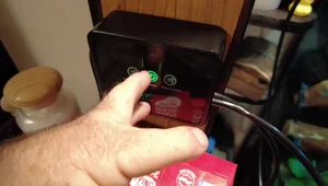 DIY Reptile Misting System: Budget-Friendly & Effective Humidity Control
