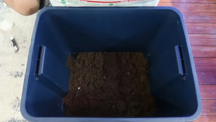 Add the peat moss and mix until the water is absorbed and the soil is evenly moist.