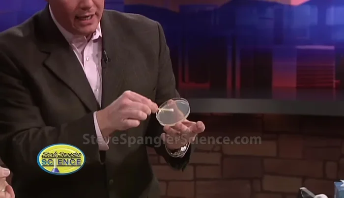 Gently swab the sample onto the agar surface.