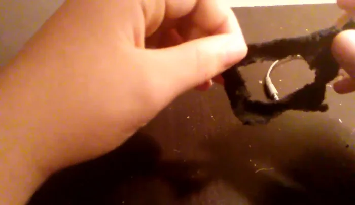 Cut out the inside of the box shape on the sock to make space for your pet's arms.