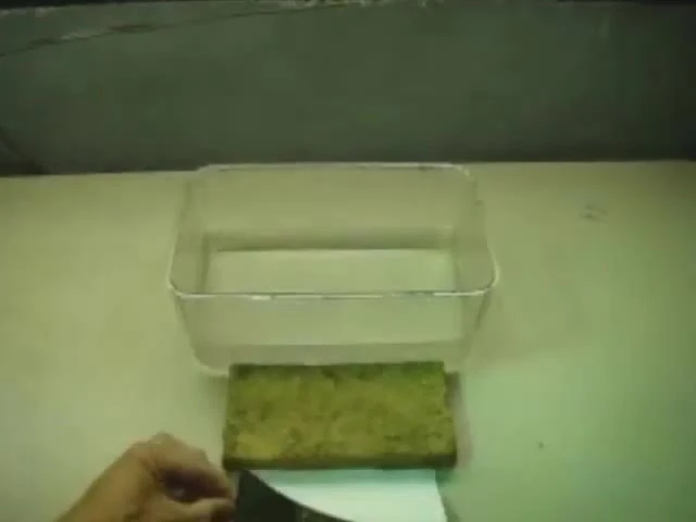 The presenter holding one of the two moss bricks.