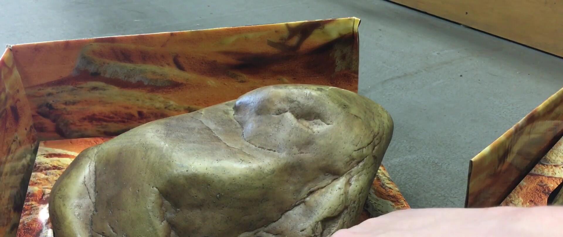Example of damp substrate placed within the gecko cave.