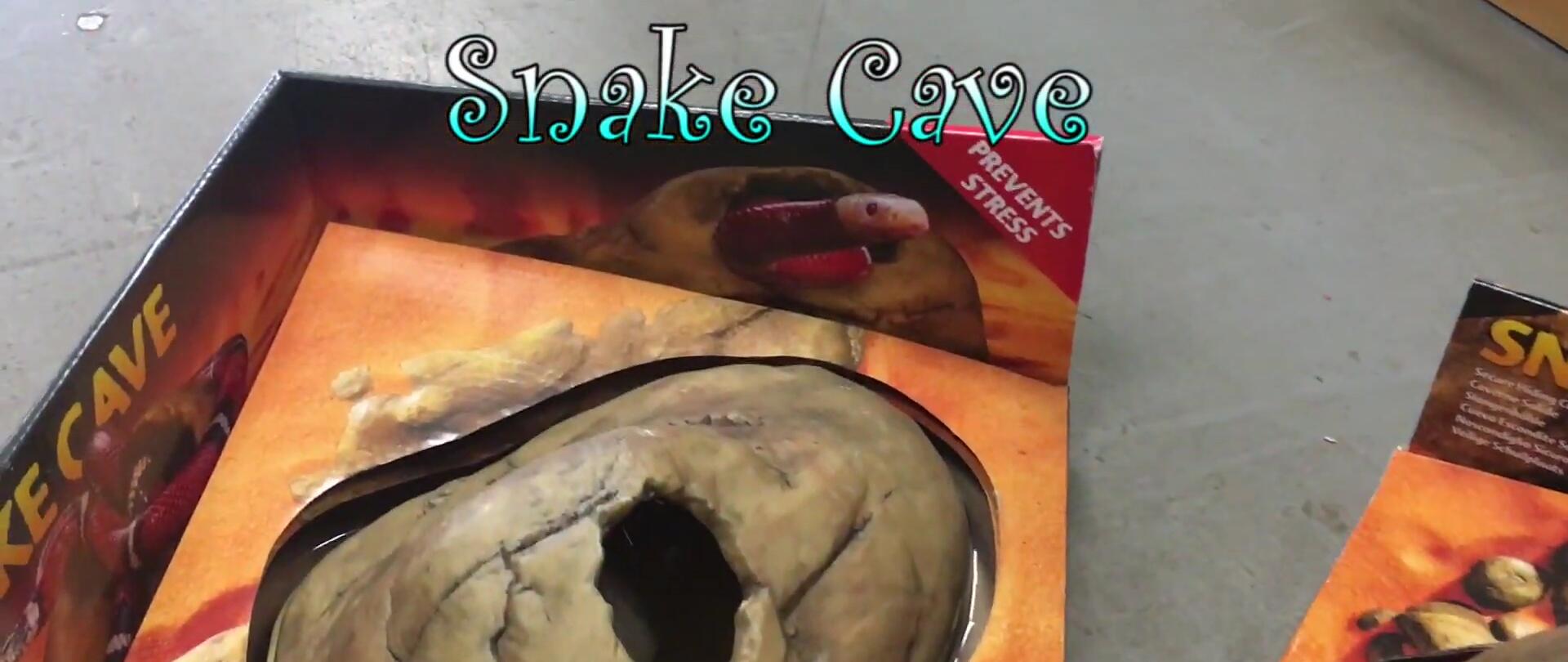 A snake cave displayed in a desert-themed enclosure.