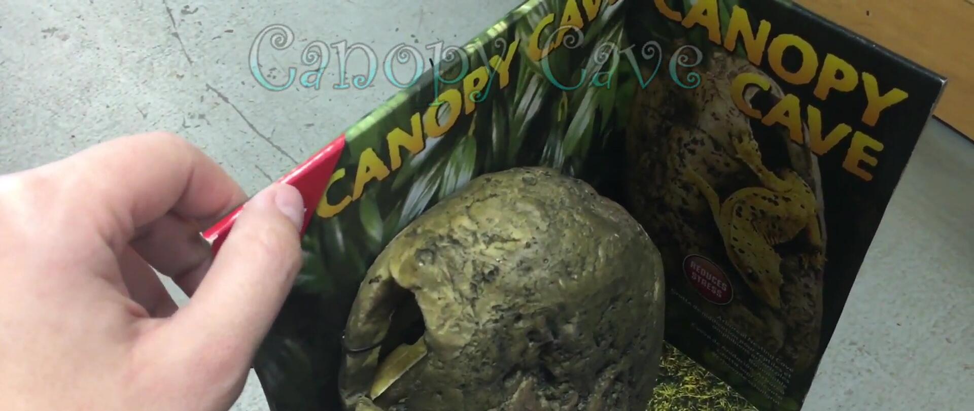 Canopy cave attached to a tropical themed enclosure.