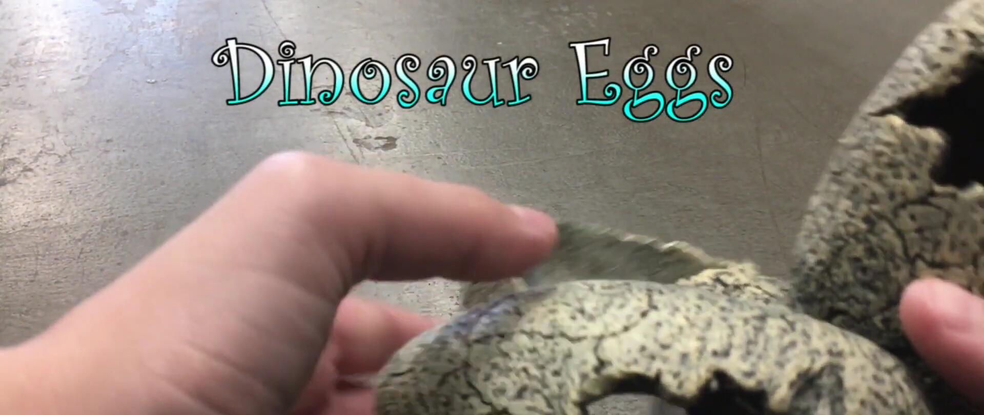 Close-up of a dinosaur egg hide with holes, showing its size and structure.
