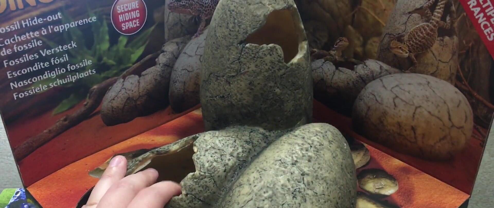 A larger dinosaur egg hide, showcasing its spacious interior suitable for larger reptiles.