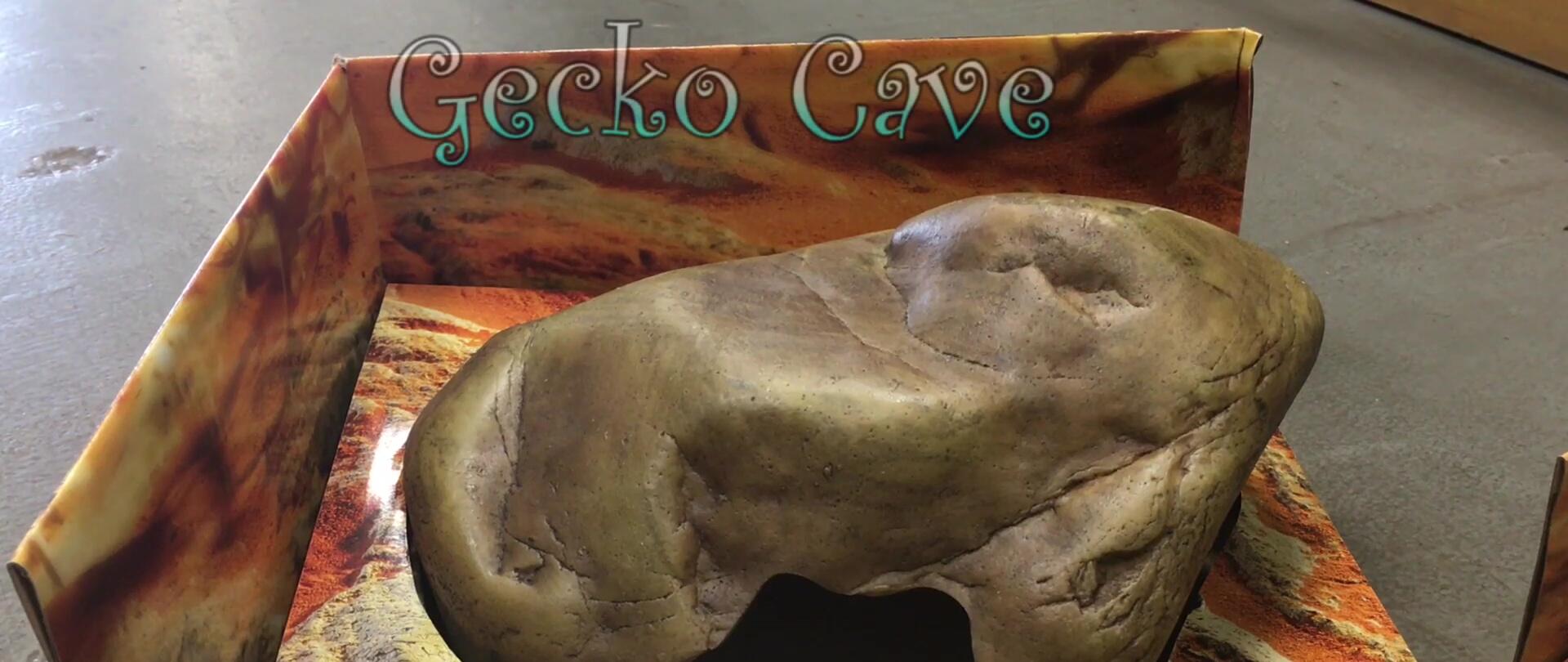 A display of gecko caves in various sizes.