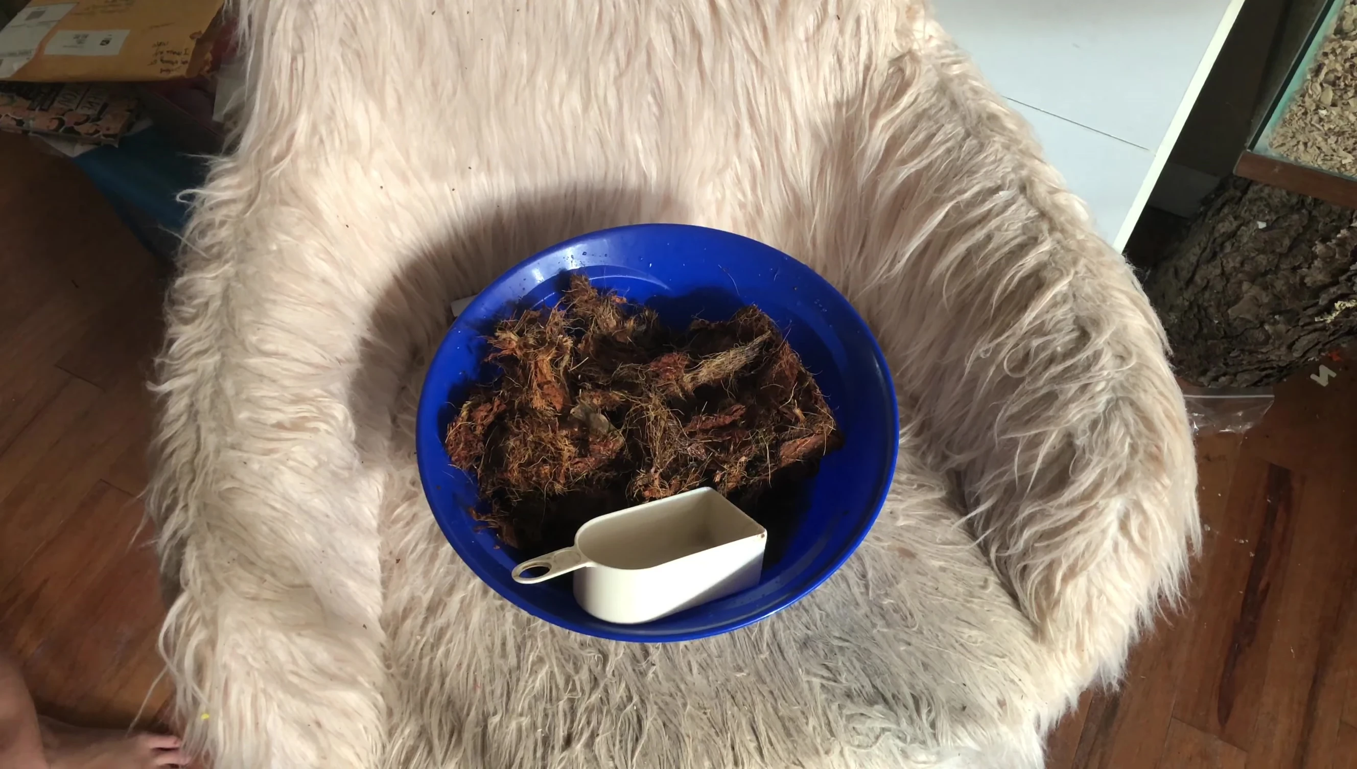 Coconut husk after initial hydration
