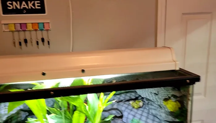 Install bulkheads for misting lines.