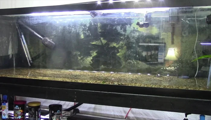 Paint the aquarium background and sides (optional, but recommended for a clean look).