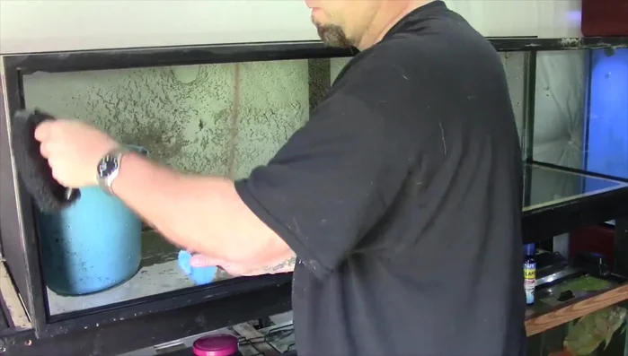 Paint the aquarium background and sides (optional, but recommended for a clean look).