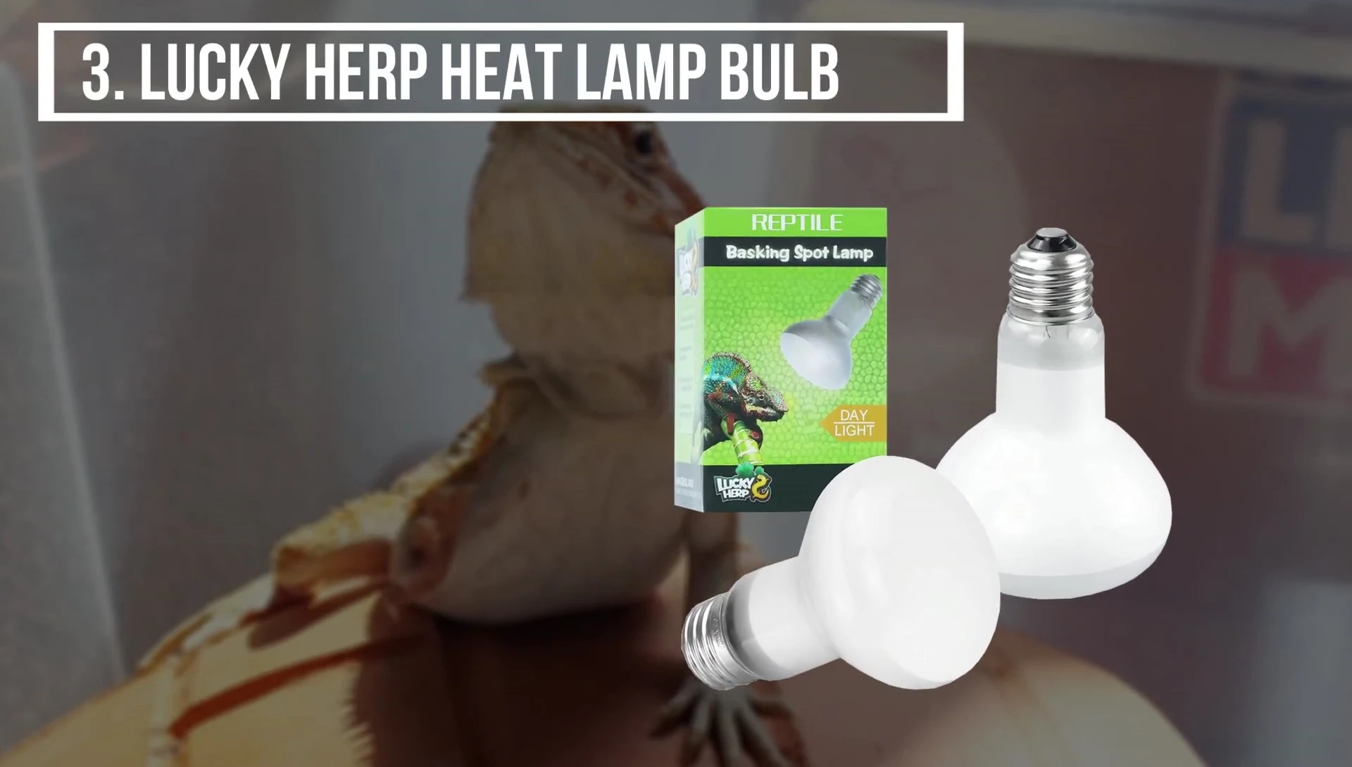 Lucky Reptile Heat Lamp Bulb