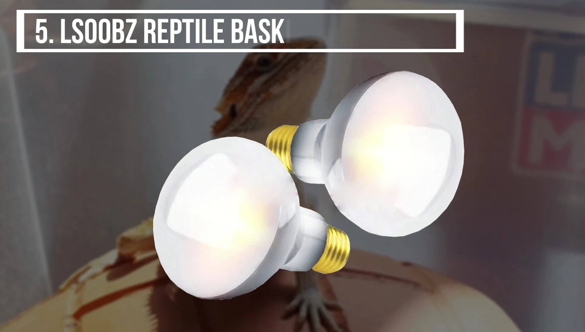Subs Reptile Basking Spot Bulb