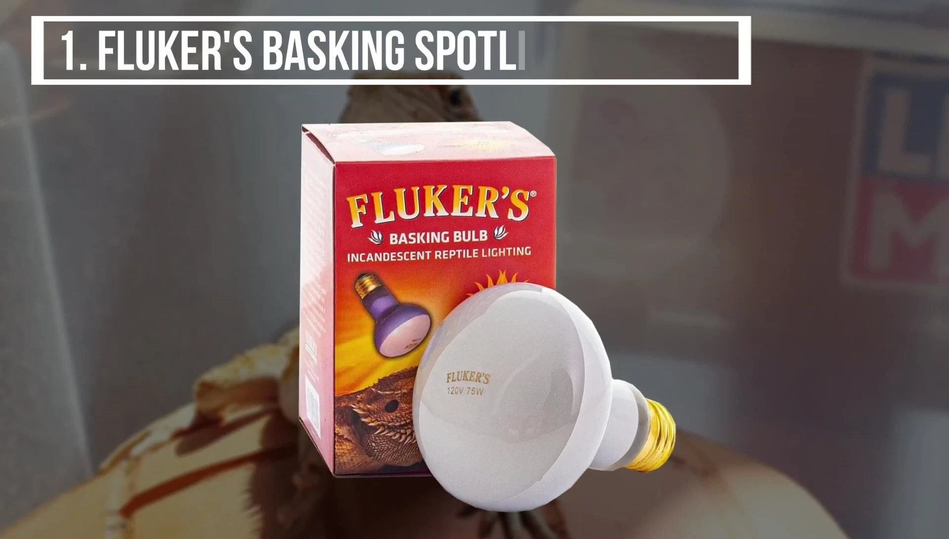 Close-up of the Fluker's Basking Spotlight Bulb