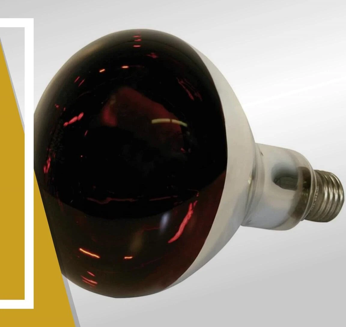 Lamp showcasing the 250W power