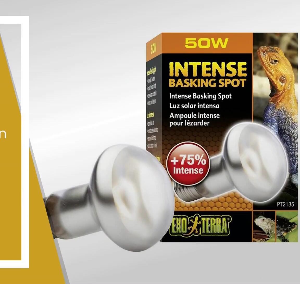 Exo Terra Heat Lamp packaging or close-up