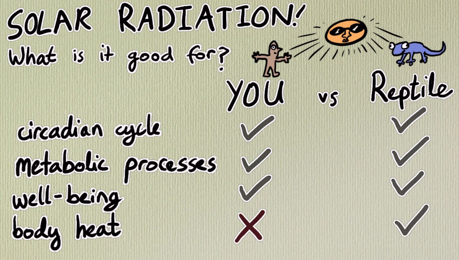 Image emphasizing the need to replicate natural sunlight for optimal reptile health