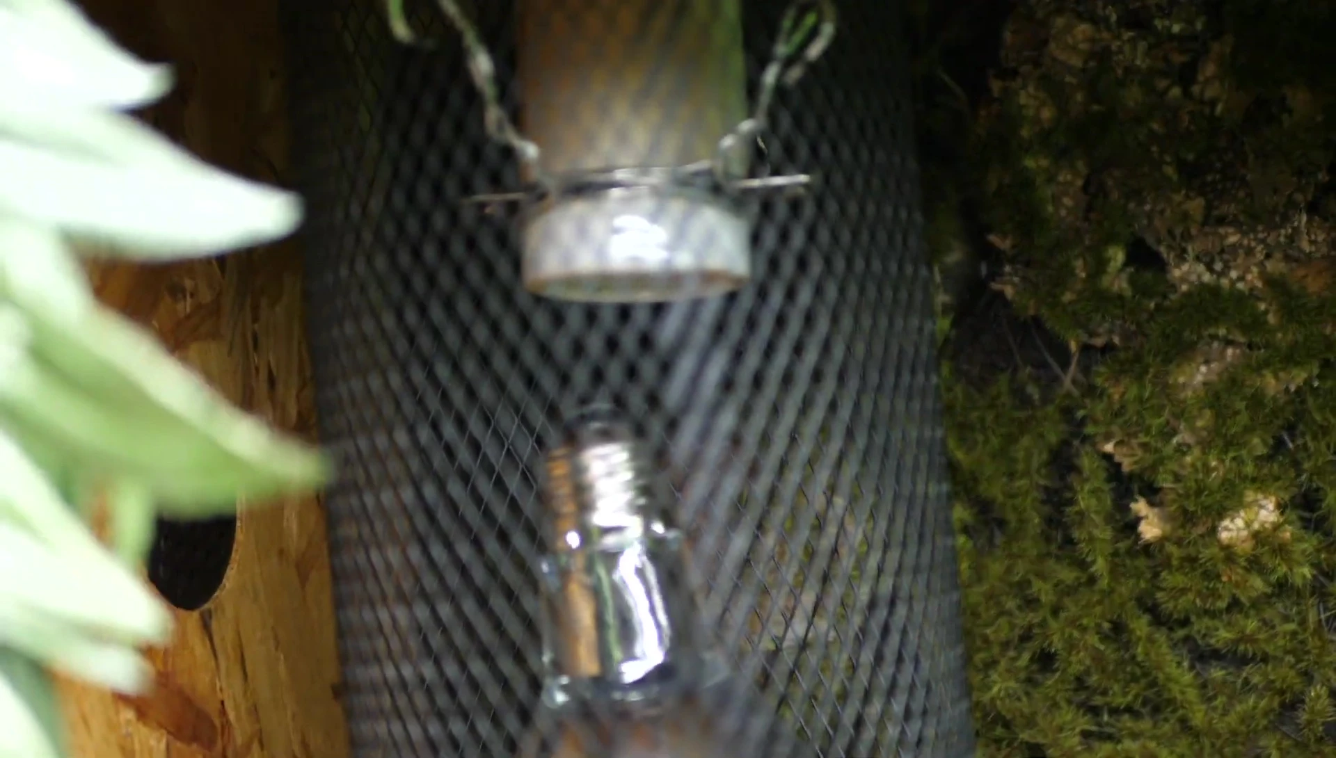 Image of the deep heat projector installed in the enclosure