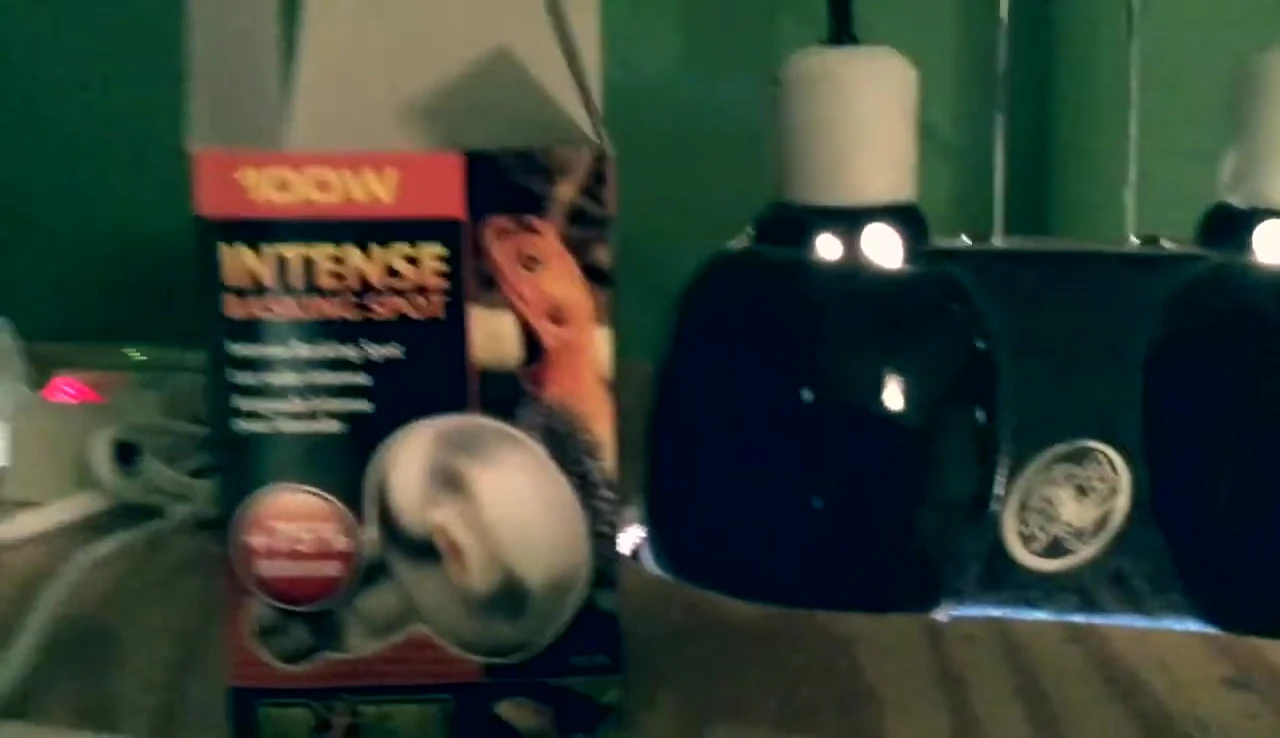 A 100-watt intense basking spot bulb in use.