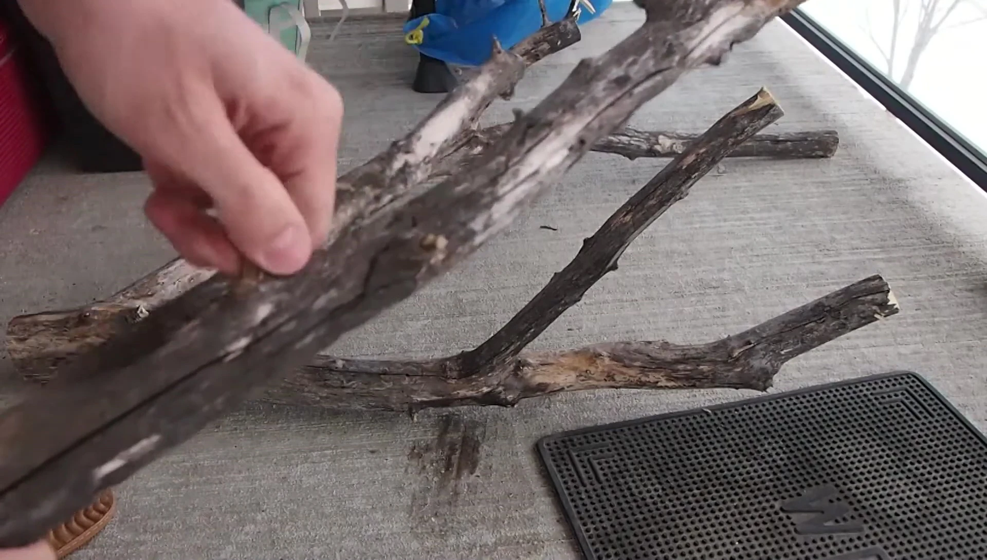 Sanding a branch