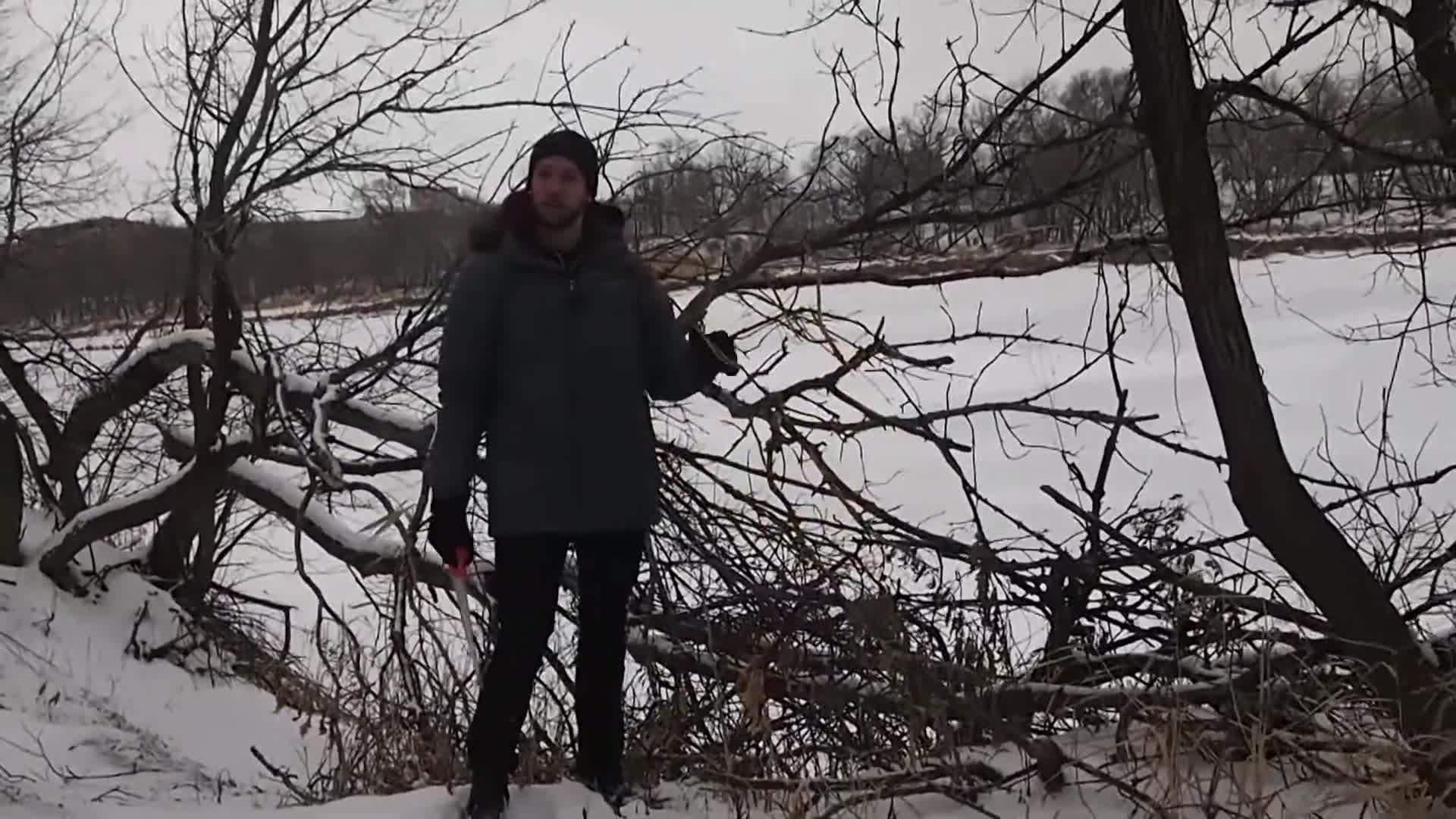 Collecting wood in a forest setting